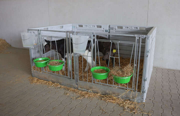 KERBL Modulare Kälberbox Erweiterung Einzelbucht freistehend